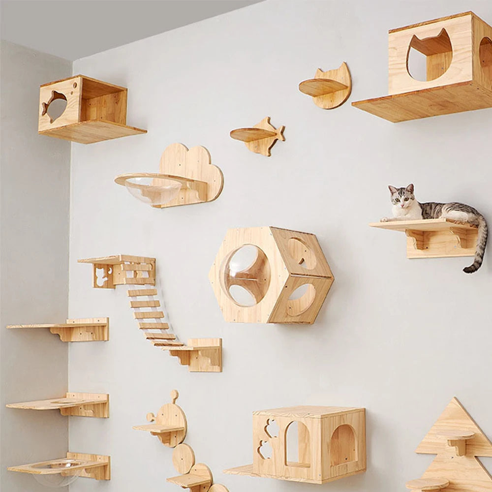 Cat Climbing Shelf