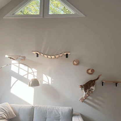 Cat Climbing Shelf